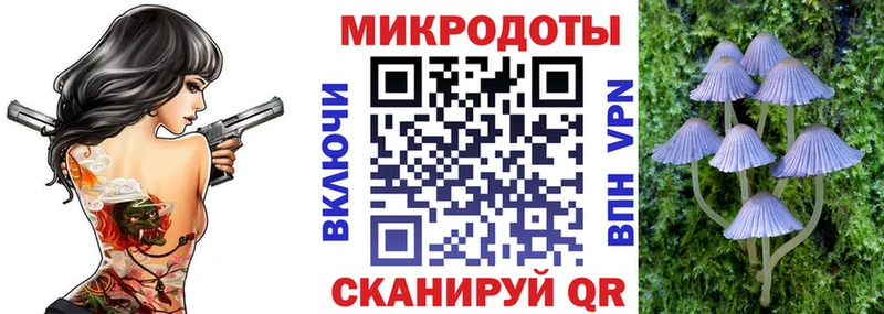 Галлюциногенные грибы прущие грибы магазин наркотиков Екатеринбург